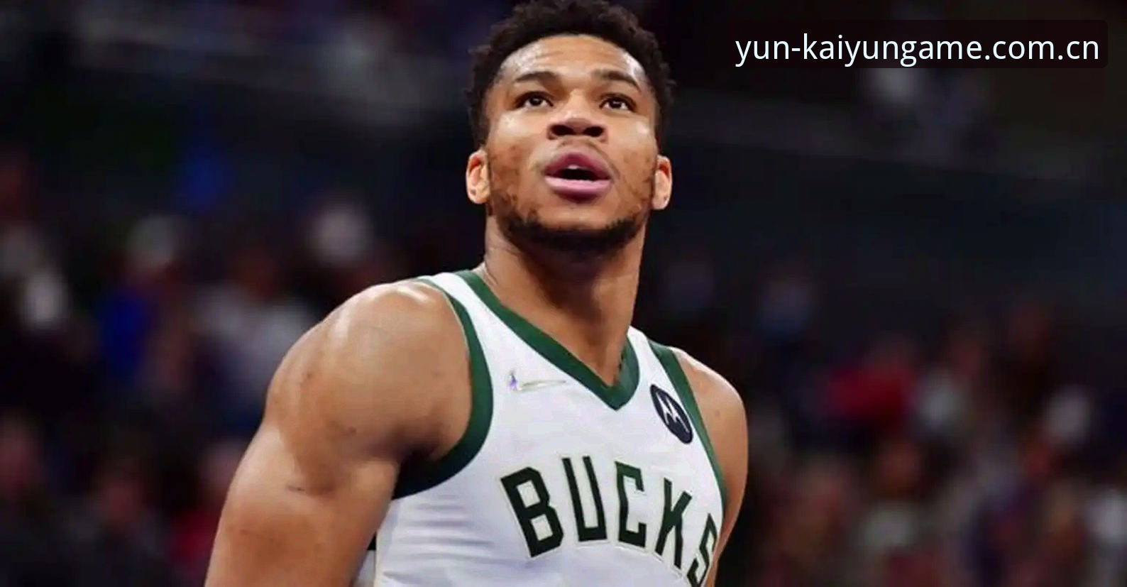 最新云开全站注册指南 NBA字母哥交易倒计时:凯尔特人与热火竞标战详解,云开全站平台观赛指南